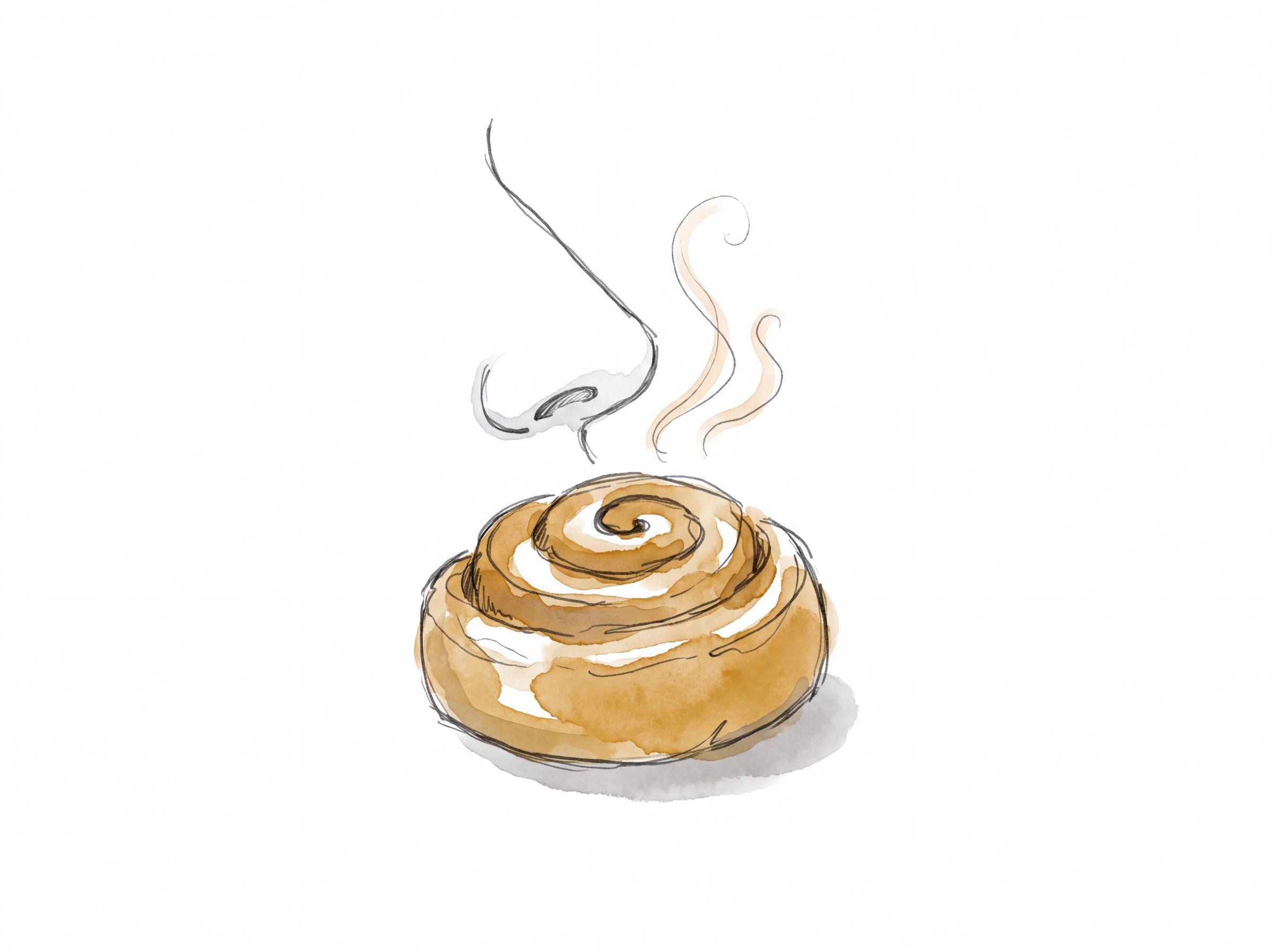 2026-08-18-spot-amber-nose-cinnamon-bun.jpg