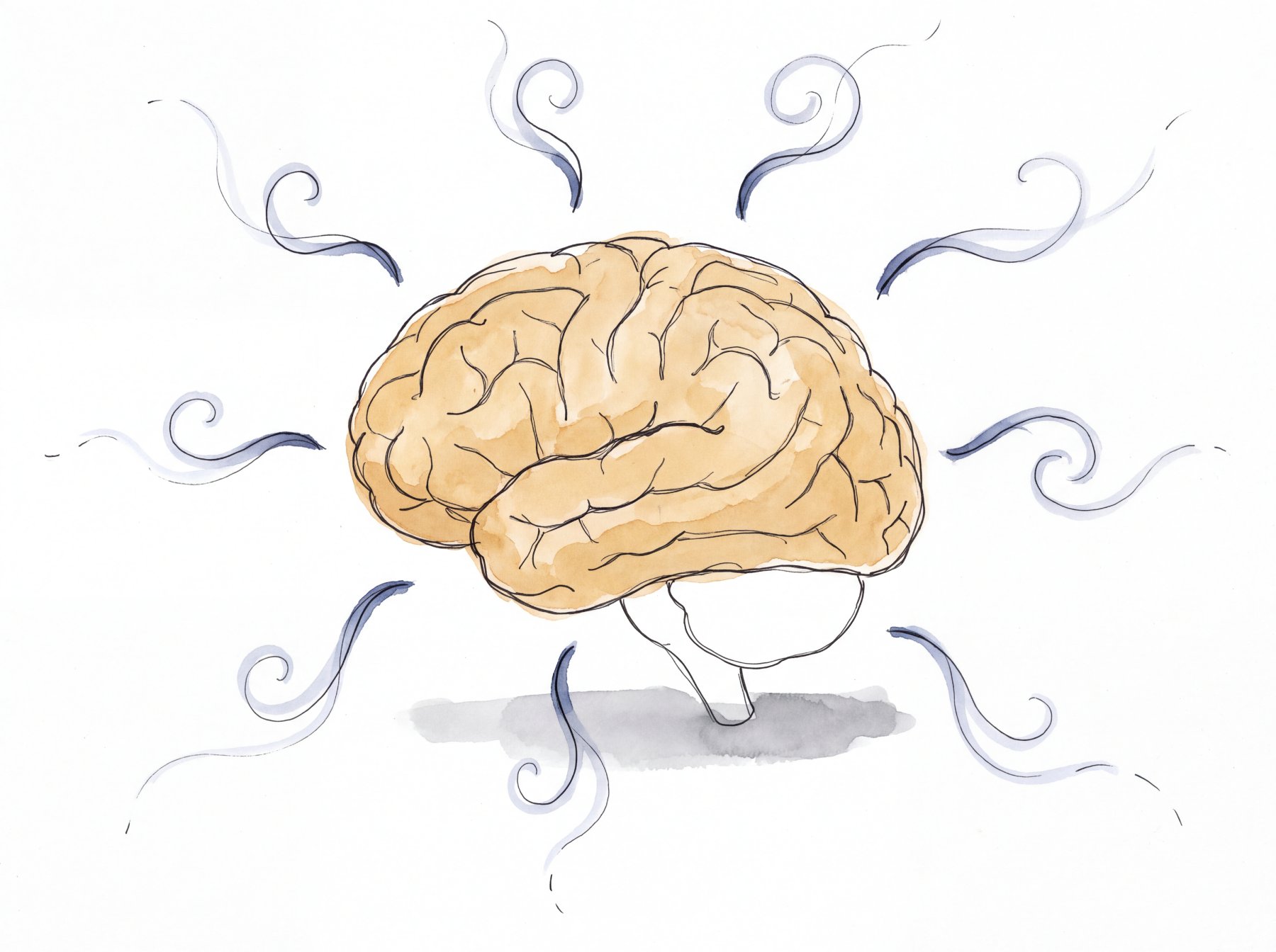 2026-08-19-editorial-hero-amber-brain-thoughts-dissipating-sm.jpg